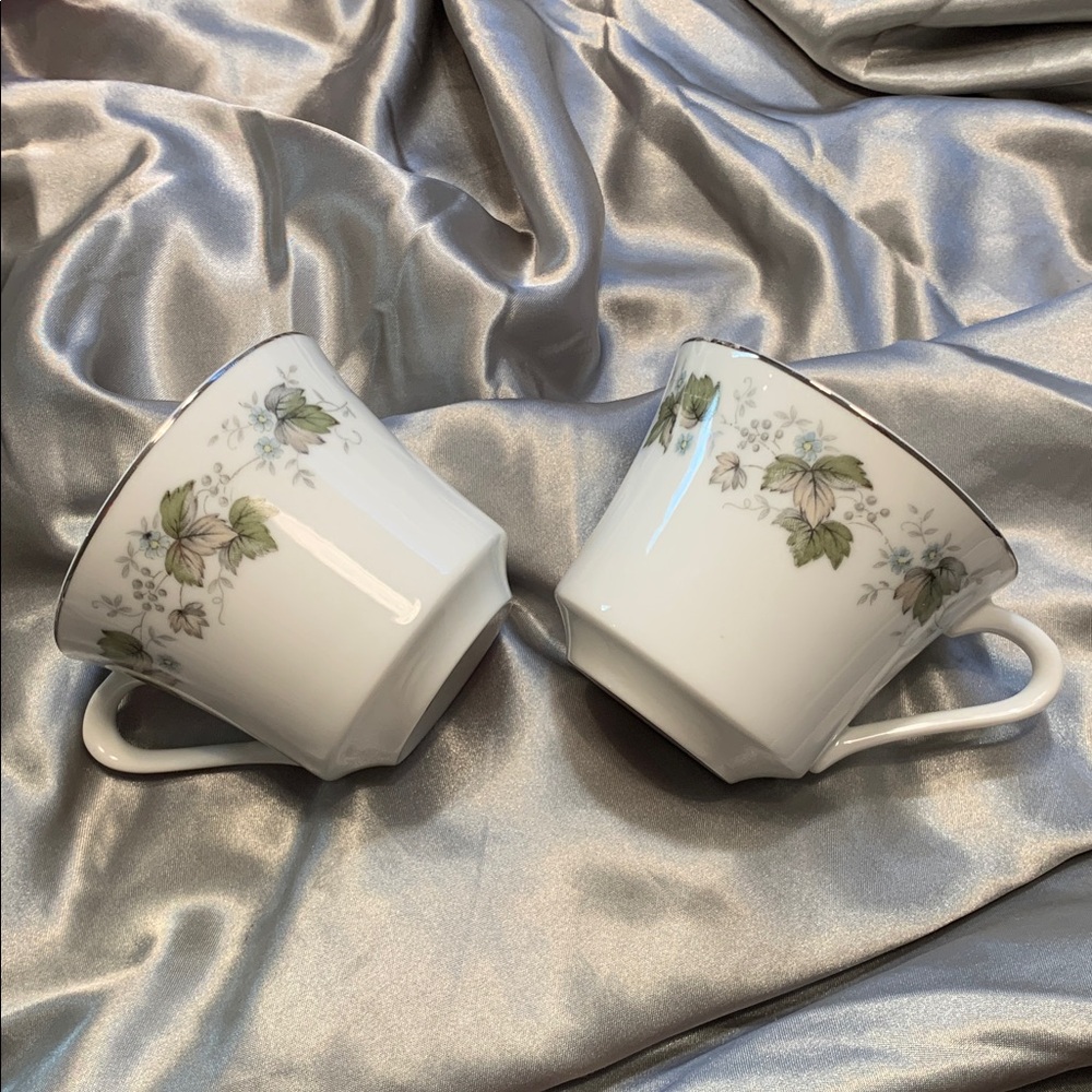 🌹VINTAGE Norleans CHINA • 2 Elegant Floral Porcelain Cups